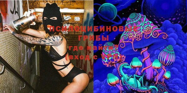 хмурый Алзамай