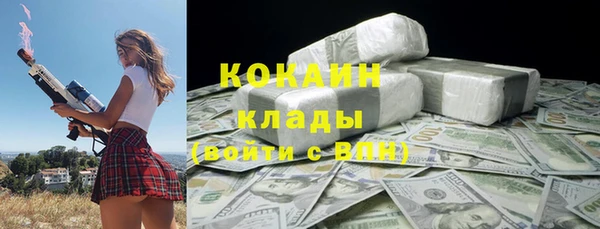 хмурый Алзамай